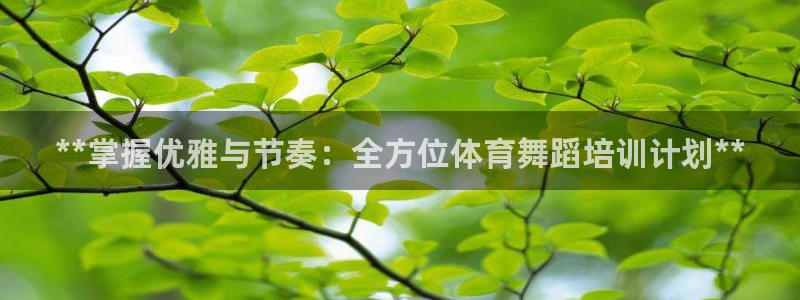 焦点娱乐挂机