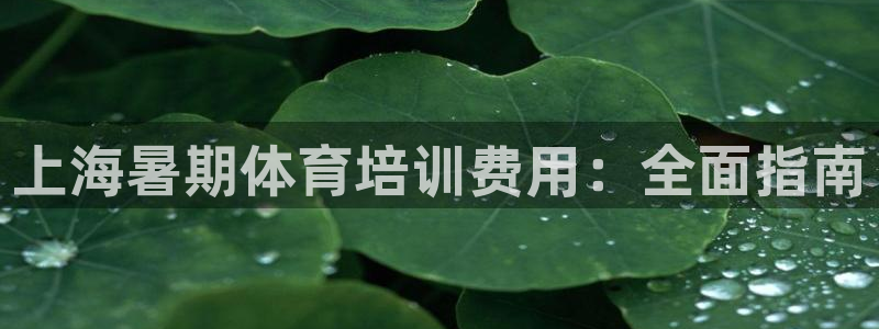 焦点娱乐开发