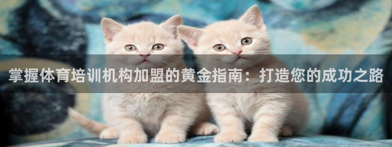 焦点娱乐官方网站首页入口：掌握体育培训机构加盟的黄金