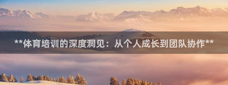 焦点娱乐公司的发展历程：**体育培训的深度洞见：从个