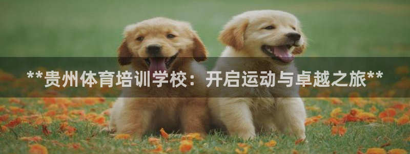 焦点娱乐传媒有限公司招聘要求：**贵州体育培训学校：
