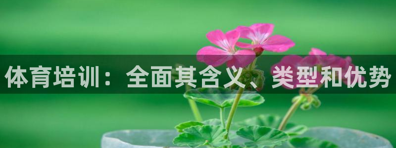 焦点娱乐平台总代理开户怎么样：体育培训：全面其含义、