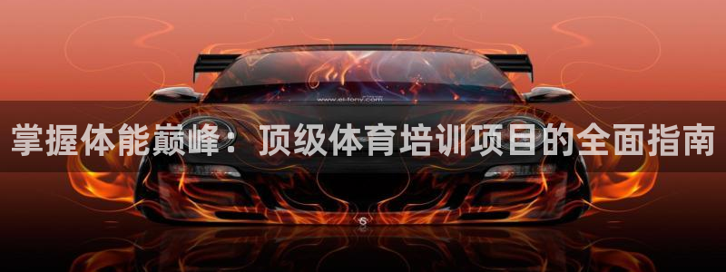 焦点娱乐平台客服：掌握体能巅峰：顶级体育培训项目的全