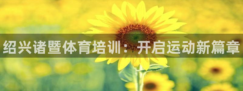 焦点娱乐营7O777：绍兴诸暨体育培训：开启运动新篇