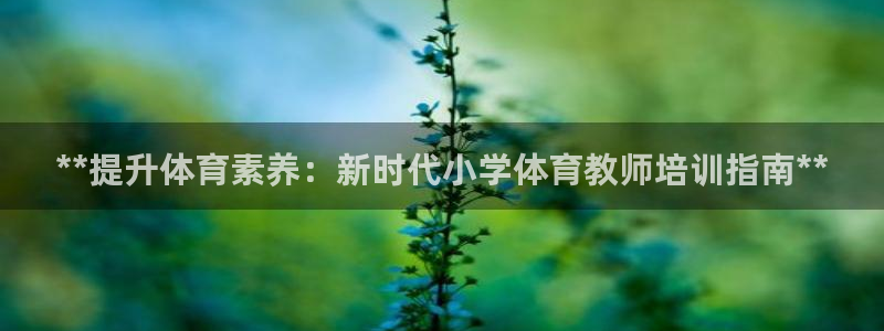 焦点娱乐无法提现怎么回事：**提升体育素养：新时代小学体育教