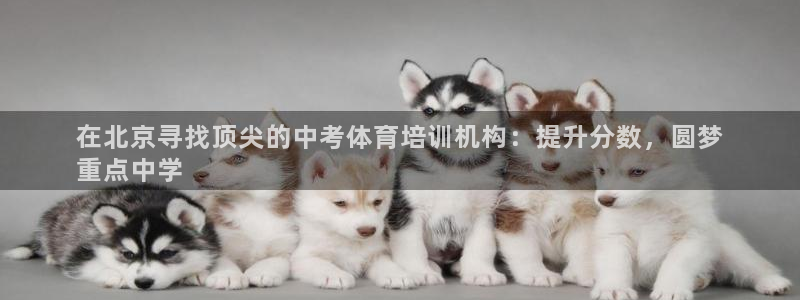 焦点娱乐游戏攻略大全：在北京寻找顶尖的中考体育培训机