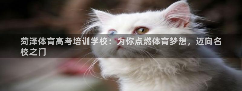 焦点娱乐全国总冠军都有谁：菏泽体育高考培训学校：为你