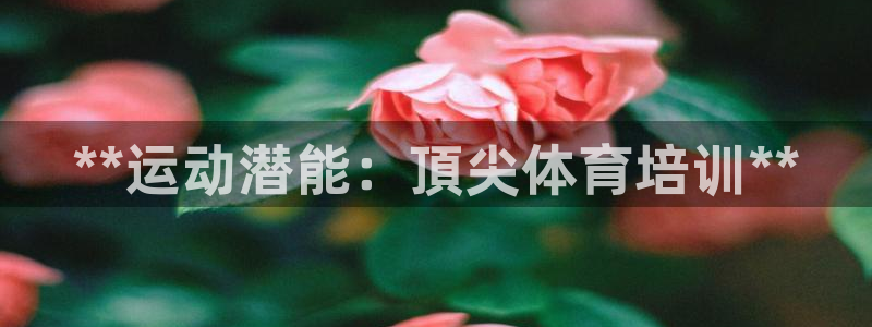 焦点娱乐公司简介怎么写：**运动潜能：頂尖体育培训*