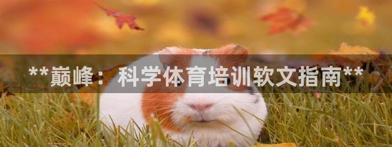 焦点娱乐星的视频：**巅峰：科学体育培训软文指南**