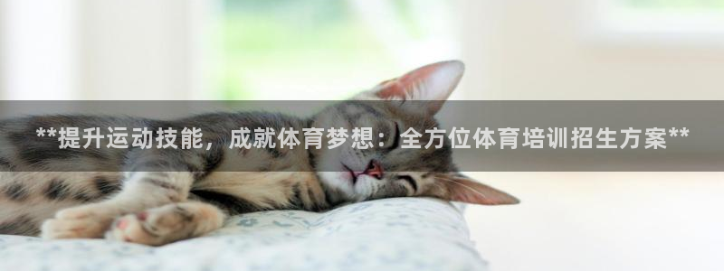 焦点娱乐传媒有限公司官网招聘：**提升运动技能，成就