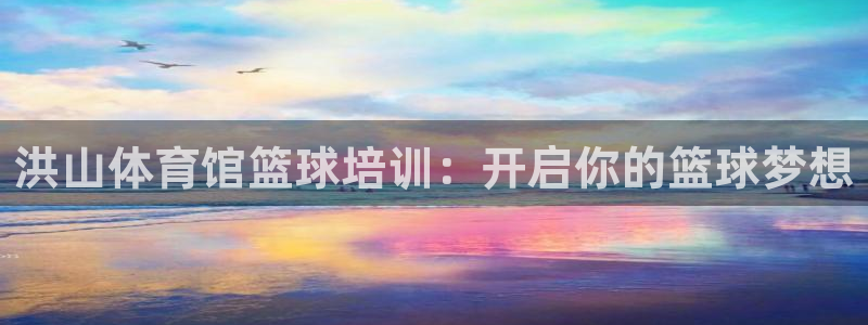 焦点娱乐平台账号在哪注册的：洪山体育馆篮球培训：开启