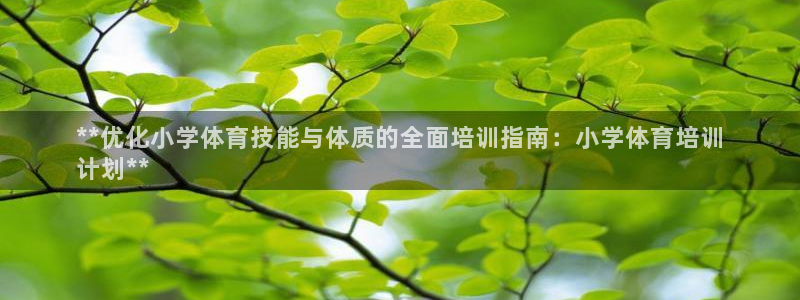 焦点娱乐公司简介图片：**优化小学体育技能与体质的全