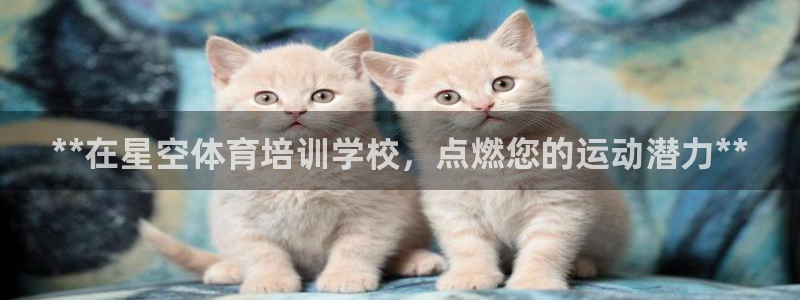 焦点娱乐官网首页：**在星空体育培训学校，点燃您的运
