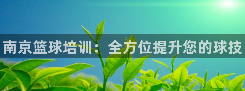 焦点娱乐官方网站首页入口