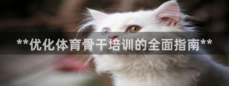 焦点娱乐官网首页：**优化体育骨干培训的全面指南**