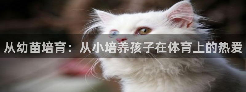 焦点娱乐app下载官网苹果手机：从幼苗培育：从小培养