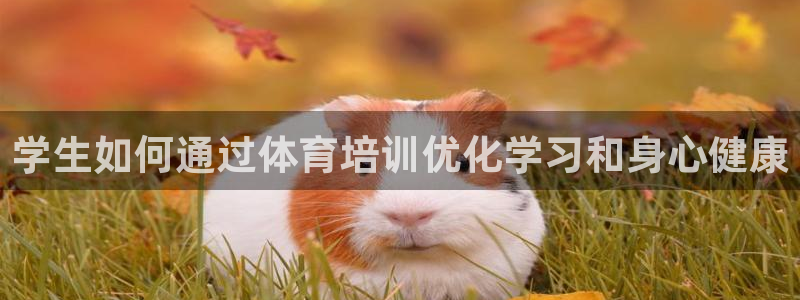 焦点娱乐平台最高待遇：学生如何通过体育培训优化学习和身心健康
