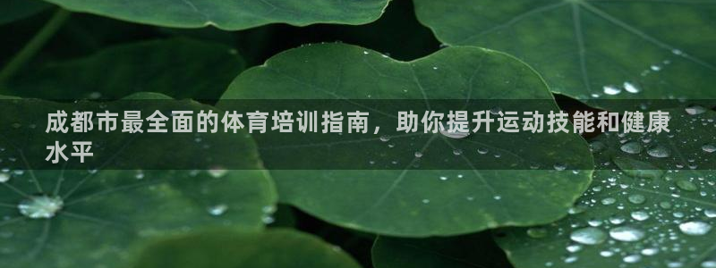 焦点娱乐怎么找客服：成都市最全面的体育培训指南，助你