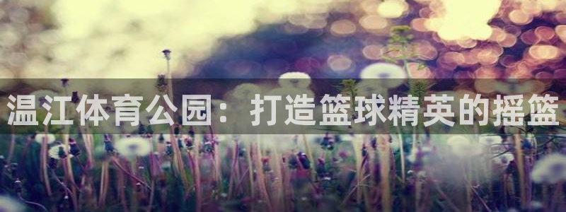 焦点娱乐怎么找导师：温江体育公园：打造篮球精英的摇篮