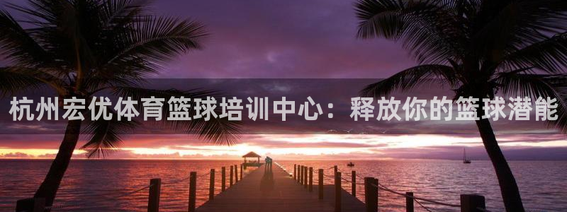 焦点娱乐股东是谁：杭州宏优体育篮球培训中心：释放你的