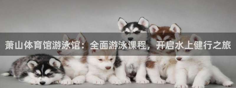 焦点娱乐游戏攻略：萧山体育馆游泳馆：全面游泳课程，开