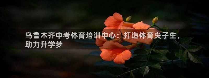 焦点娱乐传媒有限公司怎么样知乎招聘：乌鲁木齐中考体育