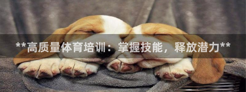 焦点娱乐平台新7O777：**高质量体育培训：掌握技