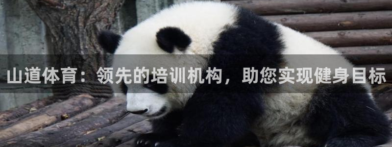 焦点娱乐平台怎么样可靠吗：山道体育：领先的培训机构，