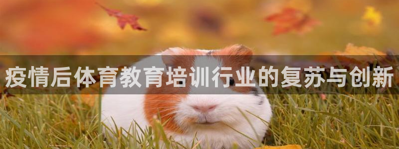 焦点娱乐传媒有限公司招聘要求：疫情后体育教育培训行业