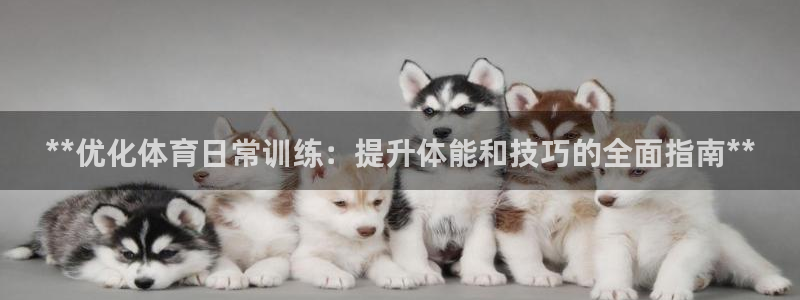 焦点娱乐是什么：**优化体育日常训练：提升体能和技巧