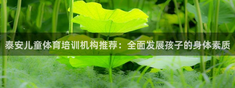 焦点娱乐加速器下载：泰安儿童体育培训机构推荐：全面发