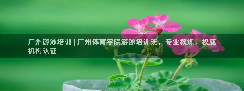 焦点娱乐力 411o31 焦点：广州游泳培训 | 广