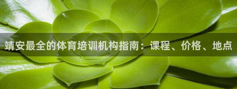 焦点娱乐公司简介怎么写：靖安最全的体育培训机构指南：