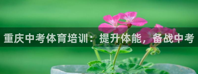 焦点娱乐股东是谁：重庆中考体育培训：提升体能，备战中