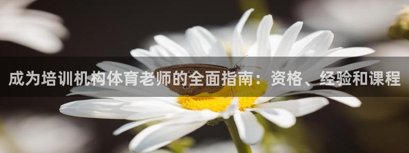 焦点娱乐全国总冠军都有谁：成为培训机构体育老师的全面