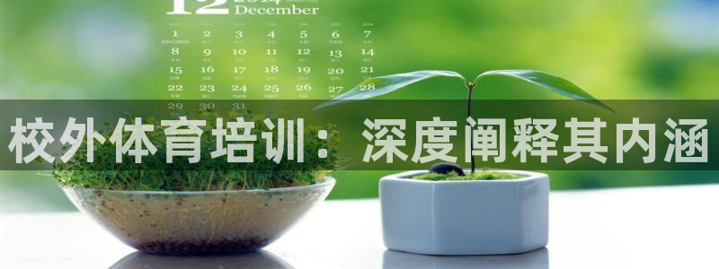 焦点娱乐官方网站下载：校外体育培训：深度阐释其内涵
