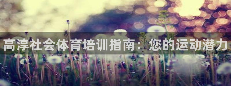 焦点娱乐负责人：高淳社会体育培训指南：您的运动潜力