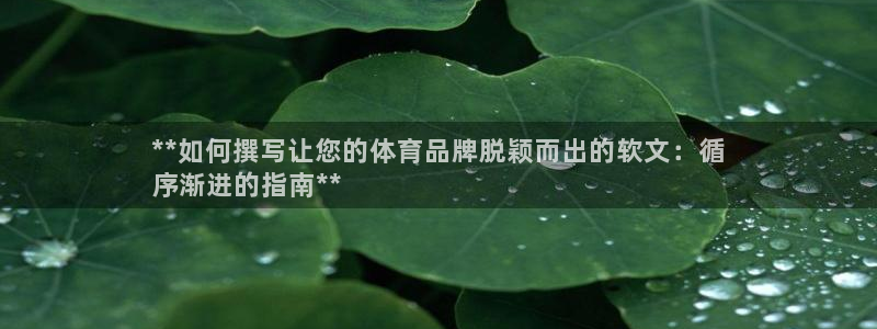 焦点娱乐有限公司电话：**如何撰写让您的体育品牌脱颖