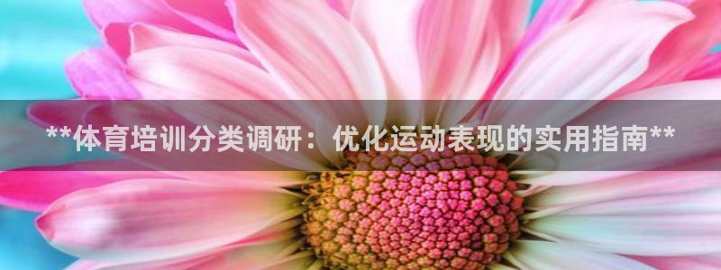 焦点娱乐下载手机版安装：**体育培训分类调研：优化运动表现的