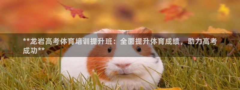 焦点娱乐游戏怎么玩视频：**龙岩高考体育培训提升班：全面提升