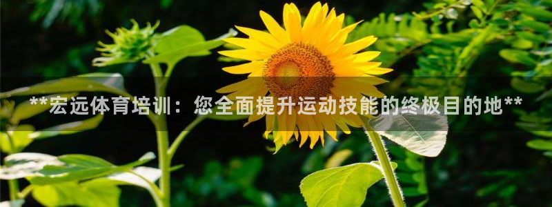 焦点娱乐平台注册账号安全吗知乎：**宏远体育培训：您全面提升