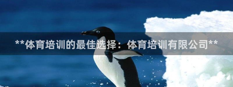 焦点娱乐全国总冠军有哪些：**体育培训的最佳选择：体