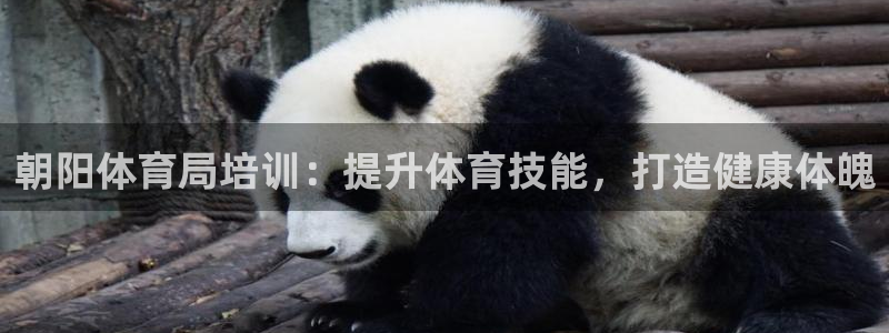焦点娱乐可以解封银行卡吗安全吗：朝阳体育局培训：提升
