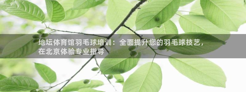 焦点娱乐网站下载地址大全：地坛体育馆羽毛球培训：全面