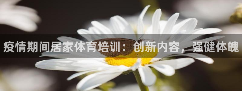 焦点娱乐是拉菲公司的吗：疫情期间居家体育培训：创新内