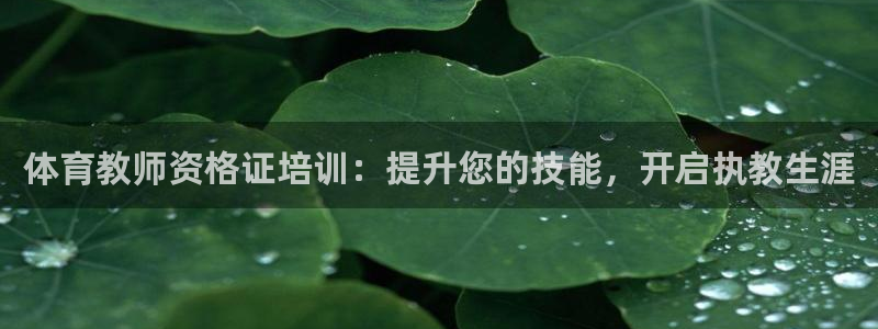 焦点娱乐app下载苹果版官网：体育教师资格证培训：提升您的技