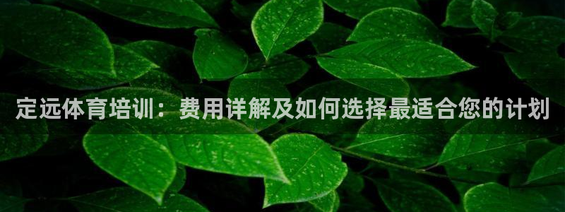 焦点娱乐怎么找导师：定远体育培训：费用详解及如何选择