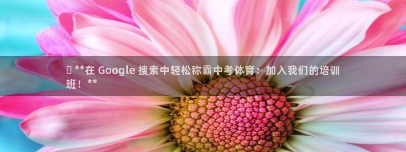 焦点娱乐跨服怎么玩：✅ **在 Google 搜索中轻松称霸