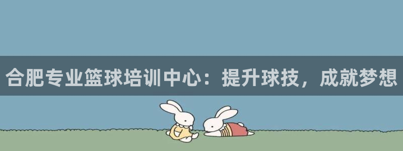 焦点娱乐官网下载安装最新版苹果：合肥专业篮球培训中心