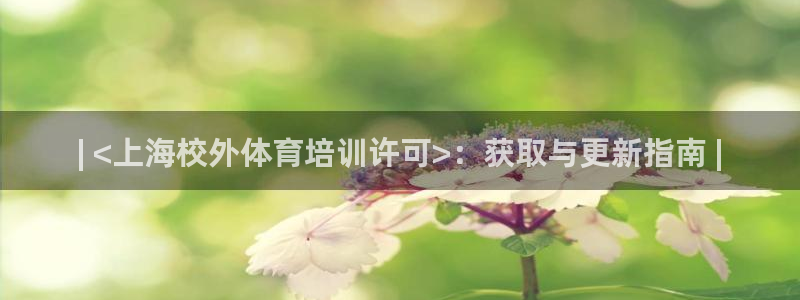 焦点娱乐官方网站入口在线观看：| <上海校外体育培训